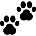 animali1_serviamo